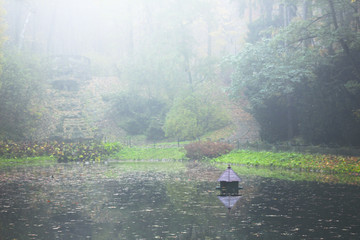 jesienny park we mgle13 © es2