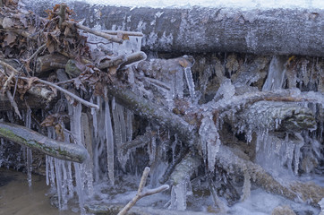 Bizarre ice figures on the branches  fallen in the forest stream