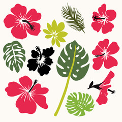 Set of tropical leaves and flowers - 102156592