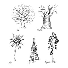 Set of hand-drawing style of graphic trees