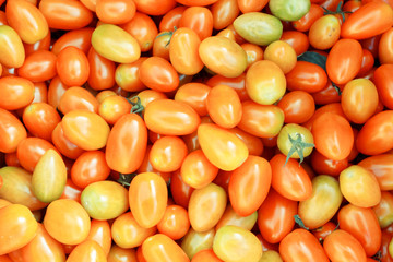 Solanum lycopersicum tomatoes