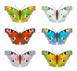 Obraz na płótnie Canvas Set butterfly