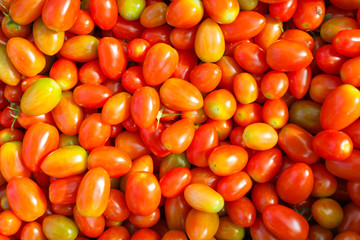 Solanum lycopersicum tomatoes