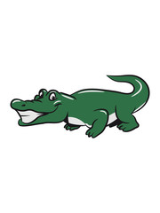 Crocodile funny naughty