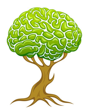 Brain tree