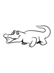 Crocodile funny naughty