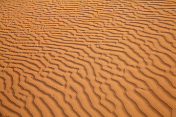Red sand desert