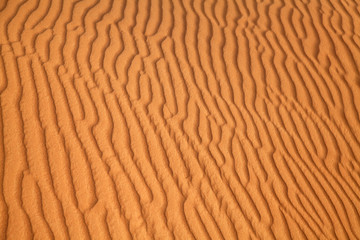 Red sand desert