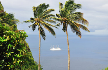 Cruise ship passes between palms trees