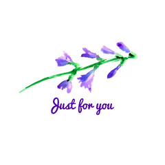 Wildflower. Watercolor floral illustration.  Floral decorative element. Vector vintage  floral background. Illustration for invitations, greeting cards, covers and other items.