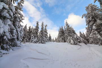Fototapeta na wymiar Snow Mountain. mountains under snow in the winter