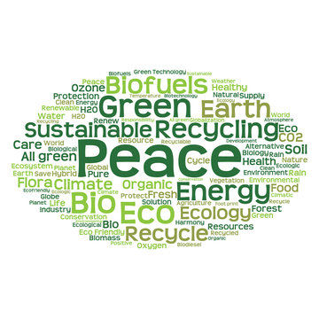 Conceptual ecology word cloud isolated