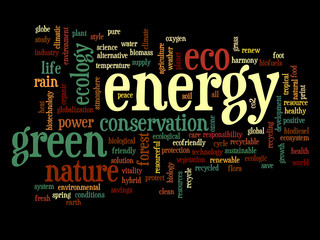 Conceptual ecology word cloud