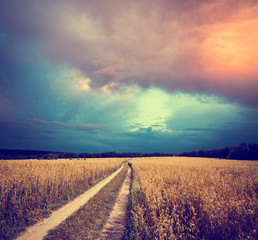 Naklejka premium Toned Landscape with Field and Country Road