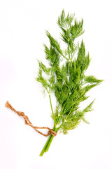 Branch of fresh dill leaves for seasoning concept isolated on wh