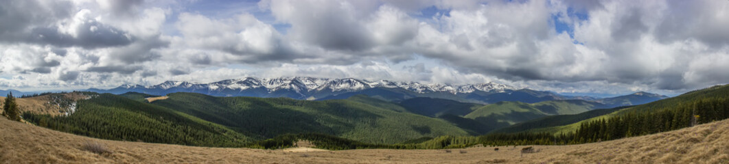Obraz premium Landscape in the Carpathian mountains
