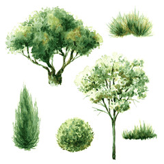 Set of green trees and bushes. - 102171121