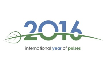 2016, pulses, international year of pulses, green, blue, ecology, beans, grains