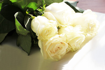 White rose background