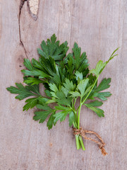 Close up branch of fresh parsley for seasoning concept on rustic
