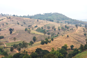 Fototapeta na wymiar Mountains are deforestation.