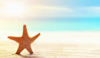 Obraz na płótnie Canvas Summer beach. Starfish on a sandy beach.