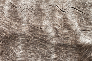 abstract wooden background