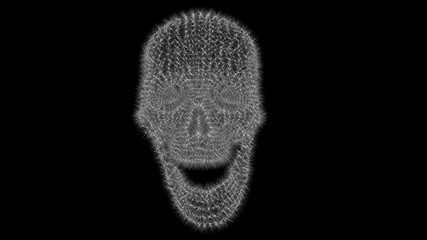 3d skull