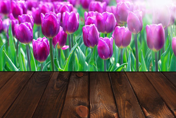 wooden background and field of tulips