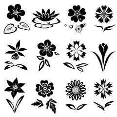 Nasturtium, primula, lily, viola, anemone, crocus, cornflower, blue poppy, orchid, flower set. Spring and summer flowers. Floral black symbols with leaves. May be used in cuisine. Vector isolated.  - 102179116