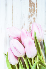 Pastel pink tulips from above on table