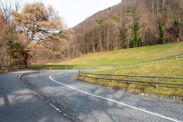 Serpentine Lichtenstein