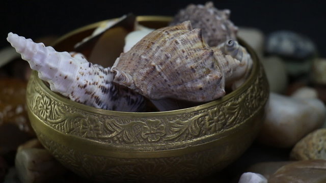 Sea Stones And Oyster Shells Around Gold Old Bowl Rotating
