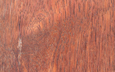 Obraz premium Texture of wood background