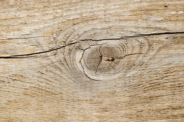 Wood Grain Close Up