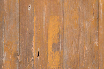 Obraz premium wood texture with natural pattern
