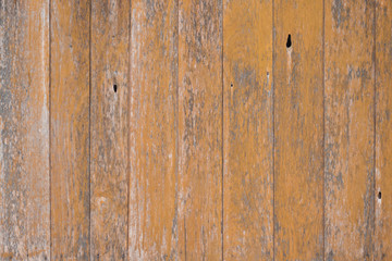 Fototapeta premium wood texture with natural pattern