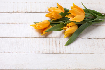 Fresh  spring yellow tulips flowers on white  painted wooden pla
