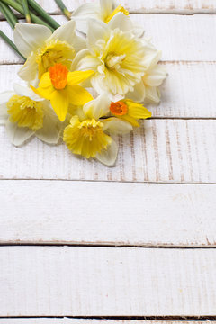 Spring yellow narcissus flowers  on white  painted wooden planks