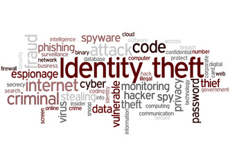 Identity theft, word cloud concept 6