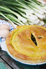 ruddy pie with onions