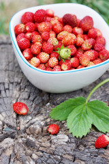 wild strawberries in bowl