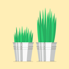 Plant in zinc pots flat icon