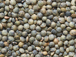 dried french green puy lentil food background