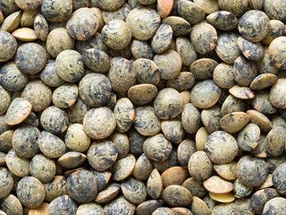 dried french green puy lentil food background