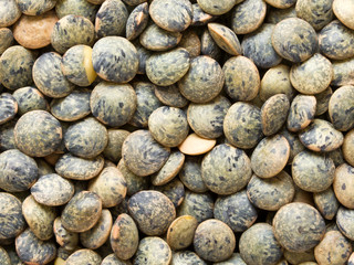 dried french green puy lentil food background