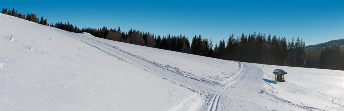 Langlaufpiste Leupe am Feldberg