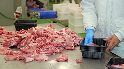Packing of Meat Slices in Boxes