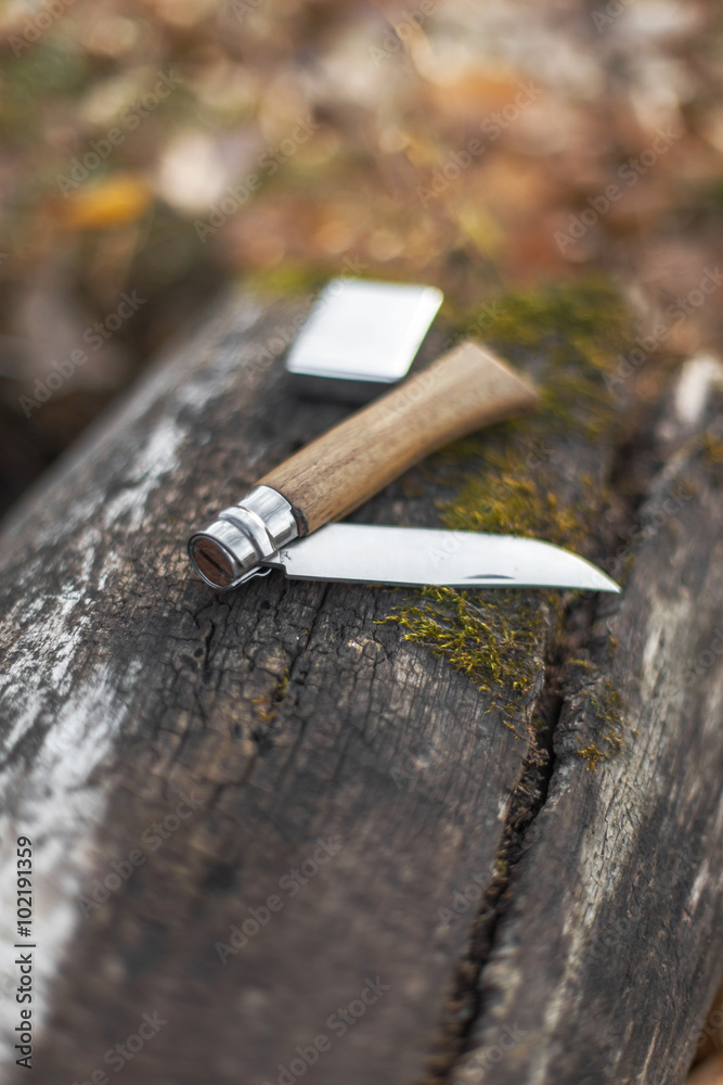 Wall mural folding knife on log