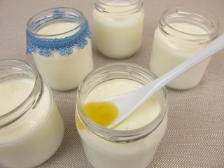 Obraz na płótnie Canvas Joghurt aus dem Joghurtbereiter mit Honig